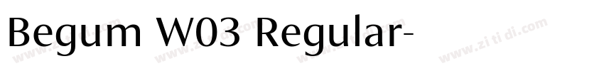 Begum W03 Regular字体转换